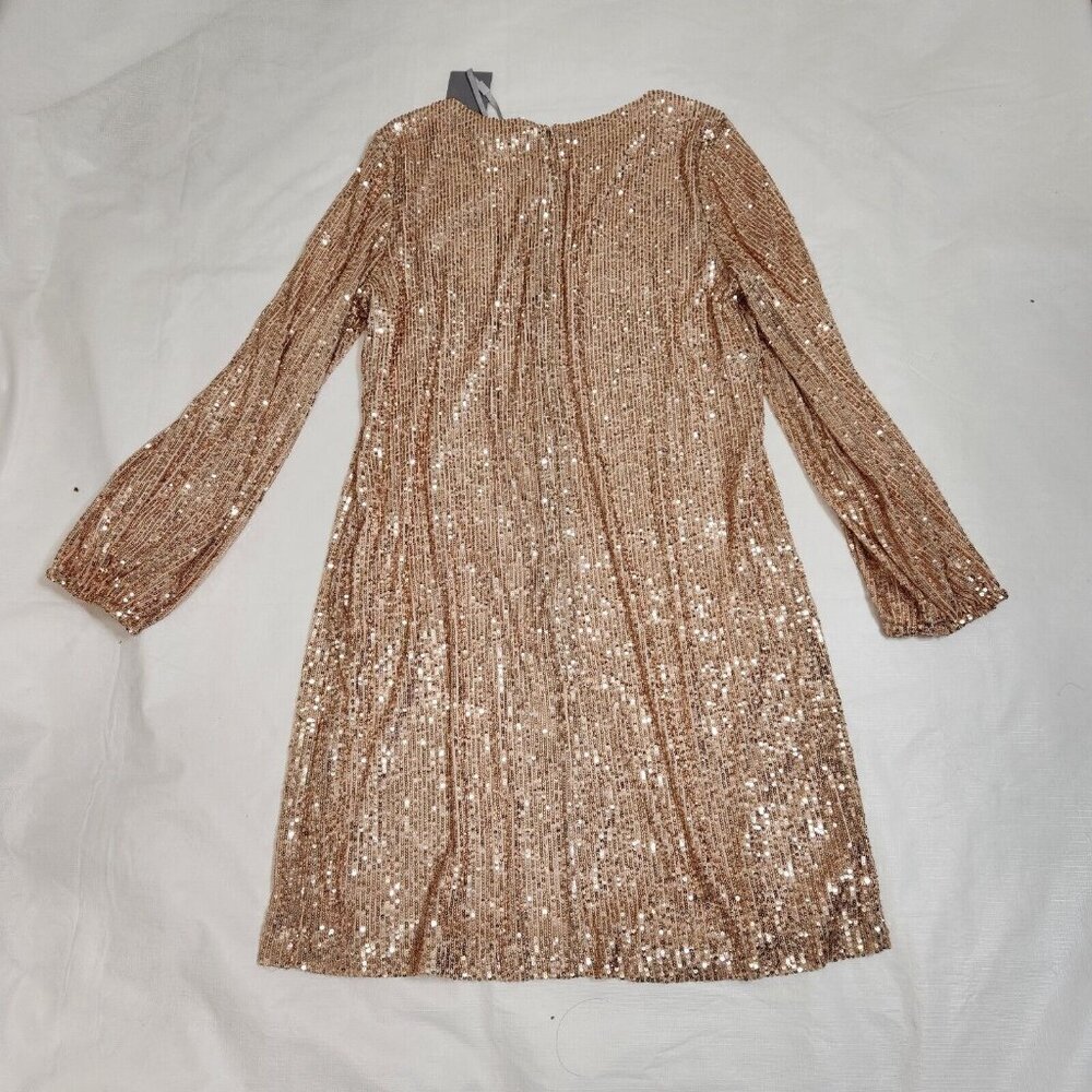 Preston & York Rosa Sequin Dress Long Blouson Sleeve Champagne Gold Size 16 (12) - Picture 5 of 15